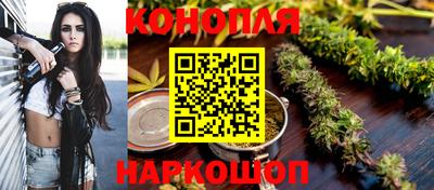 прущие грибы Кингисепп