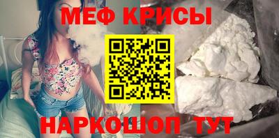 прущие грибы Кингисепп