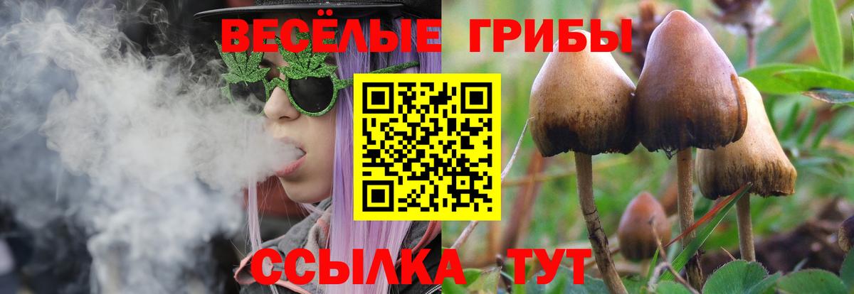 Армавир  Псилоцибиновые грибы мухоморы  Вход с VPN 
